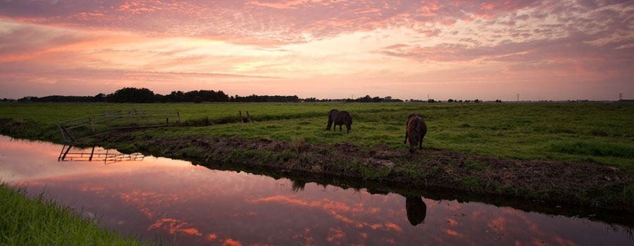 avondtocht rondvaart Friesland